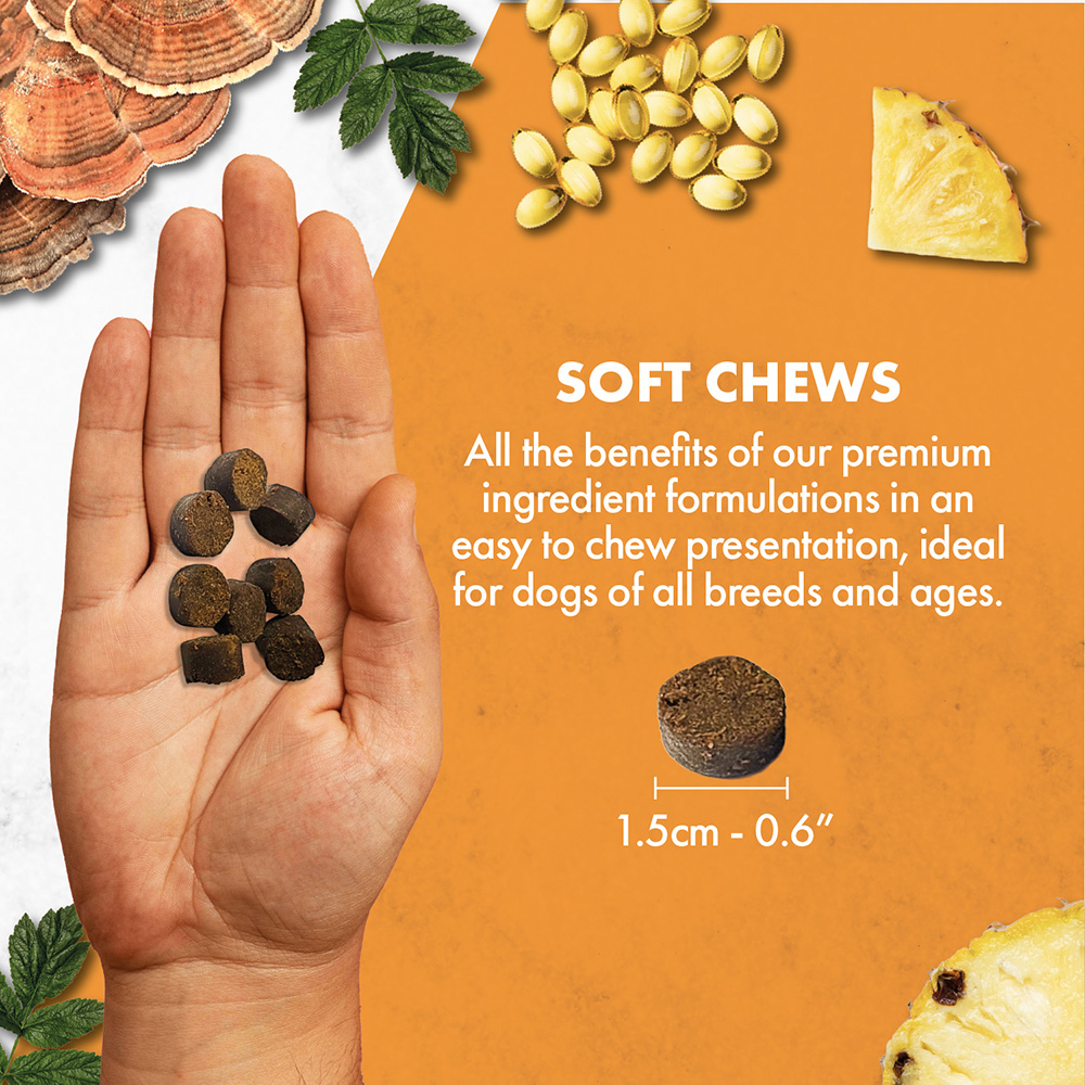 Shine | Skin & Coat Supplement - Image 6