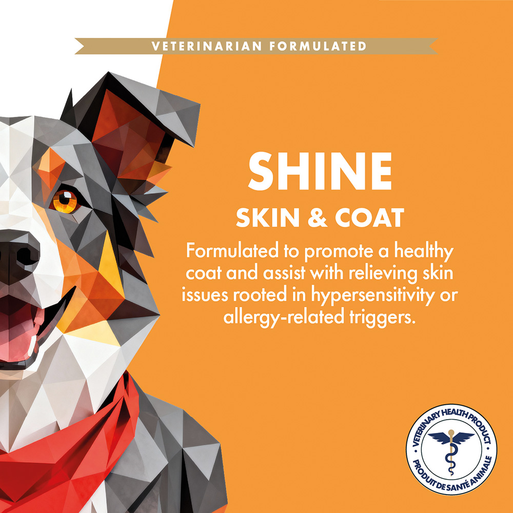 Shine | Skin & Coat Supplement - Image 3
