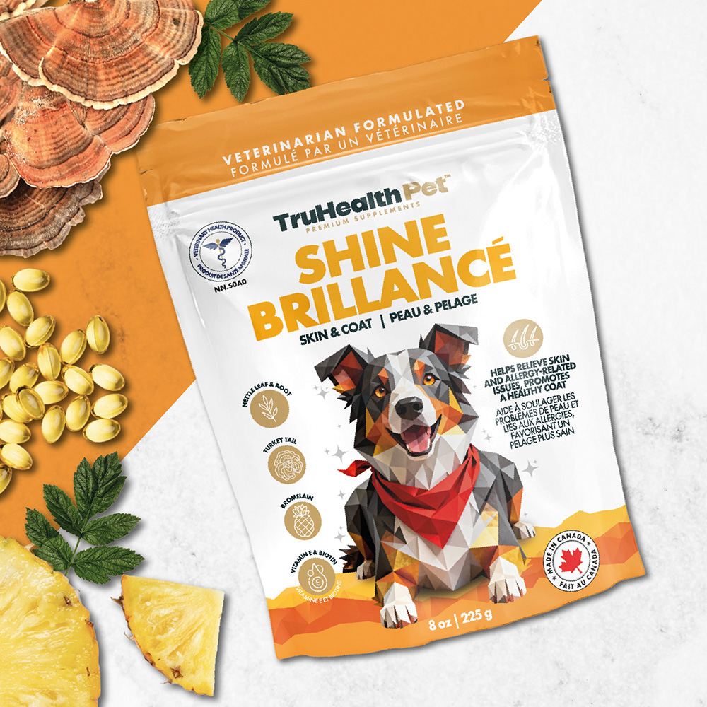 Shine | Skin & Coat Supplement - Image 9