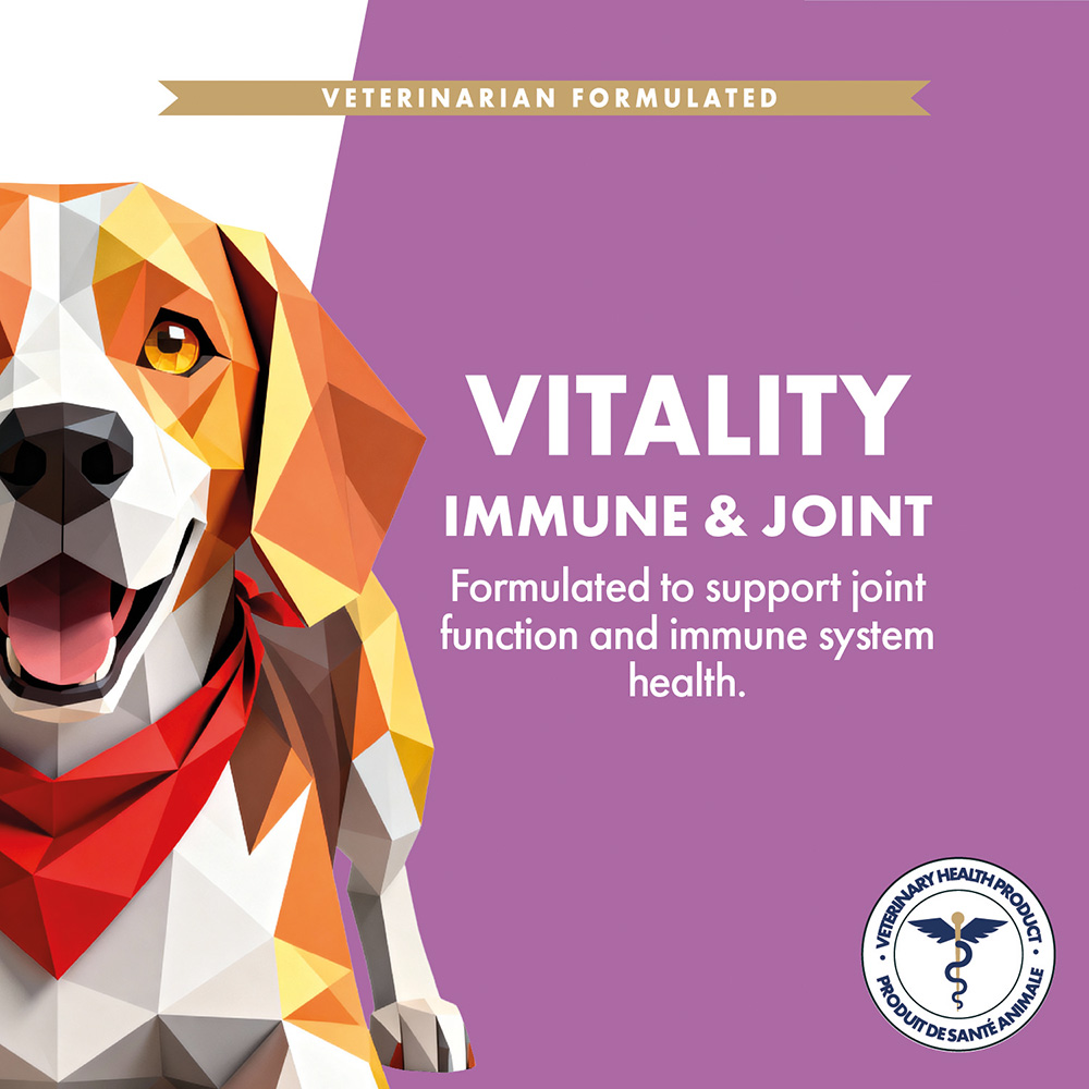 Vitality | Immune & Joint Supplement - Image 3