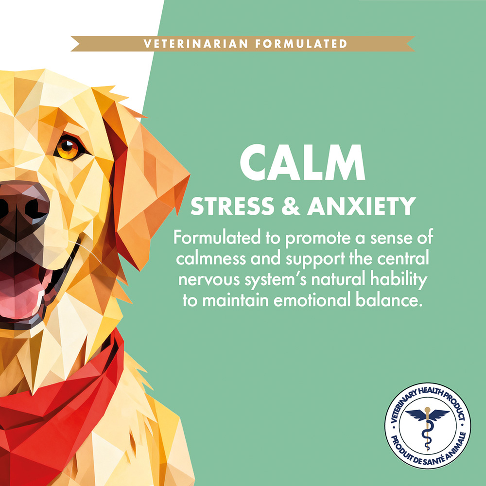Calm | Stress & anxiety Supplement - Image 3