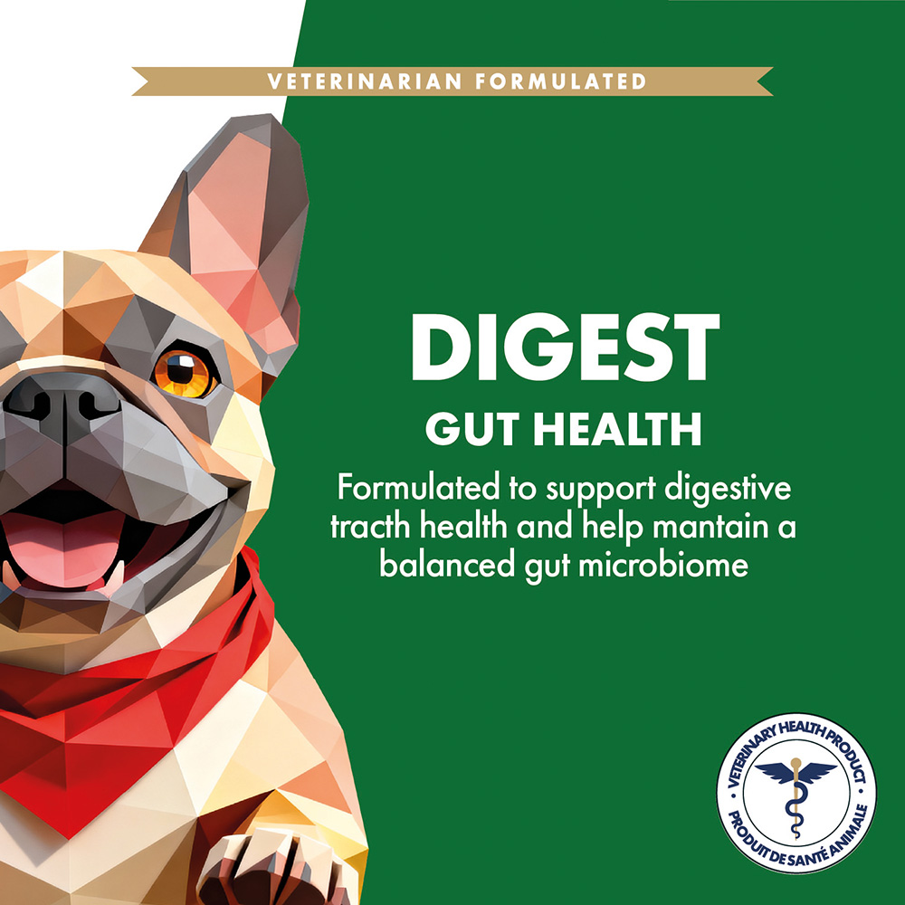 Digest | Gut Health Supplement - Image 3