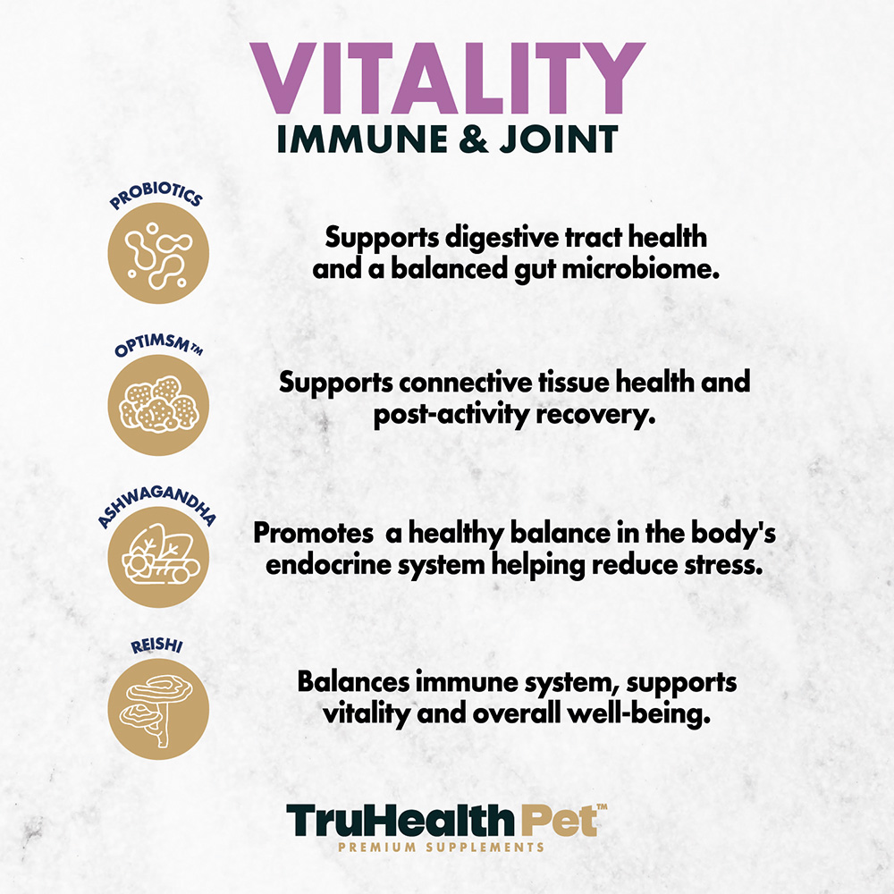 Vitality | Immune & Joint Supplement - Image 4