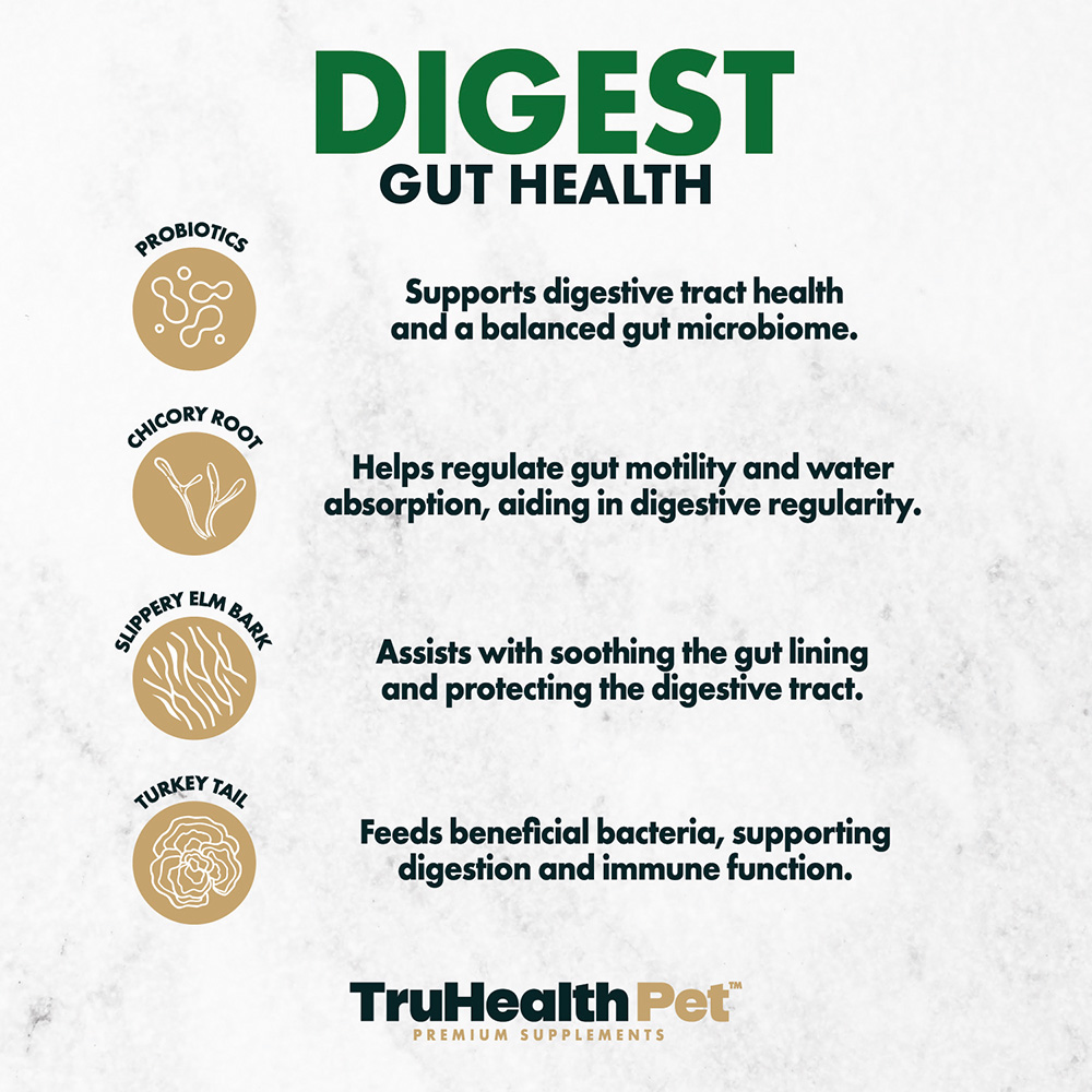 Digest | Gut Health Supplement - Image 4