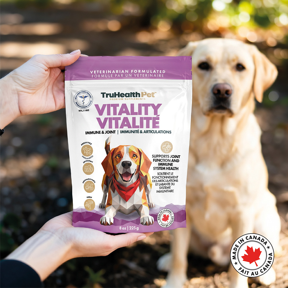 Vitality | Immune & Joint Supplement - Image 5
