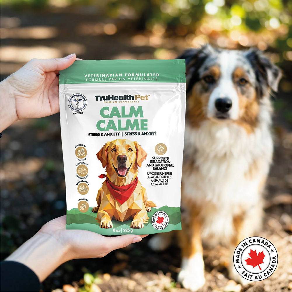 Calm | Stress & anxiety Supplement - Image 5