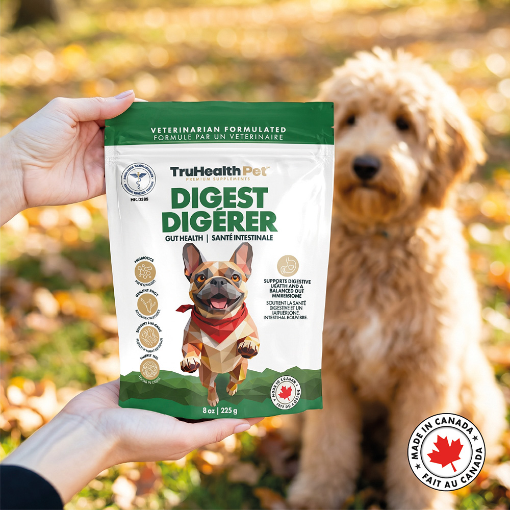 Digest | Gut Health Supplement - Image 2