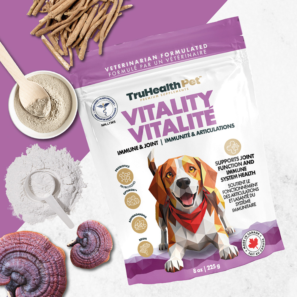 Vitality | Immune & Joint Supplement - Image 11