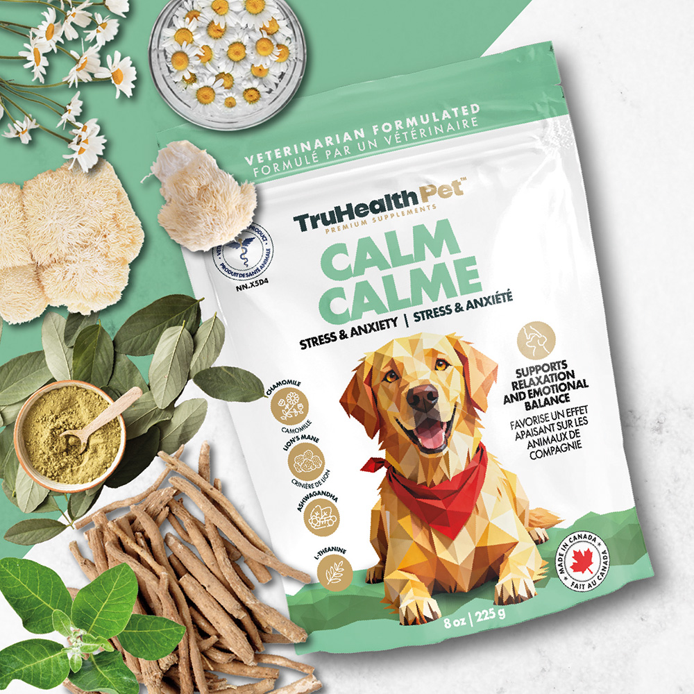 Calm | Stress & anxiety Supplement - Image 9