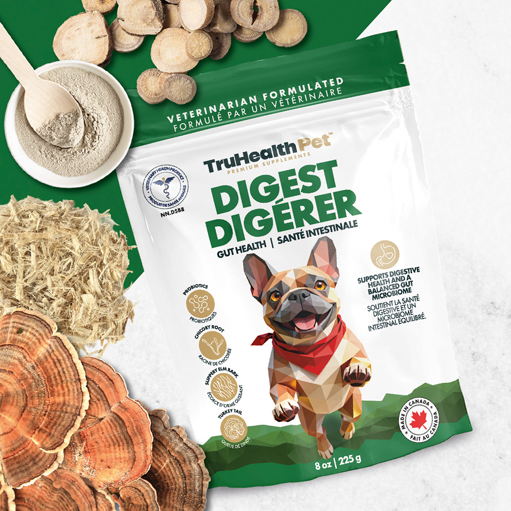 Digest | Gut Health Supplement - Image 9