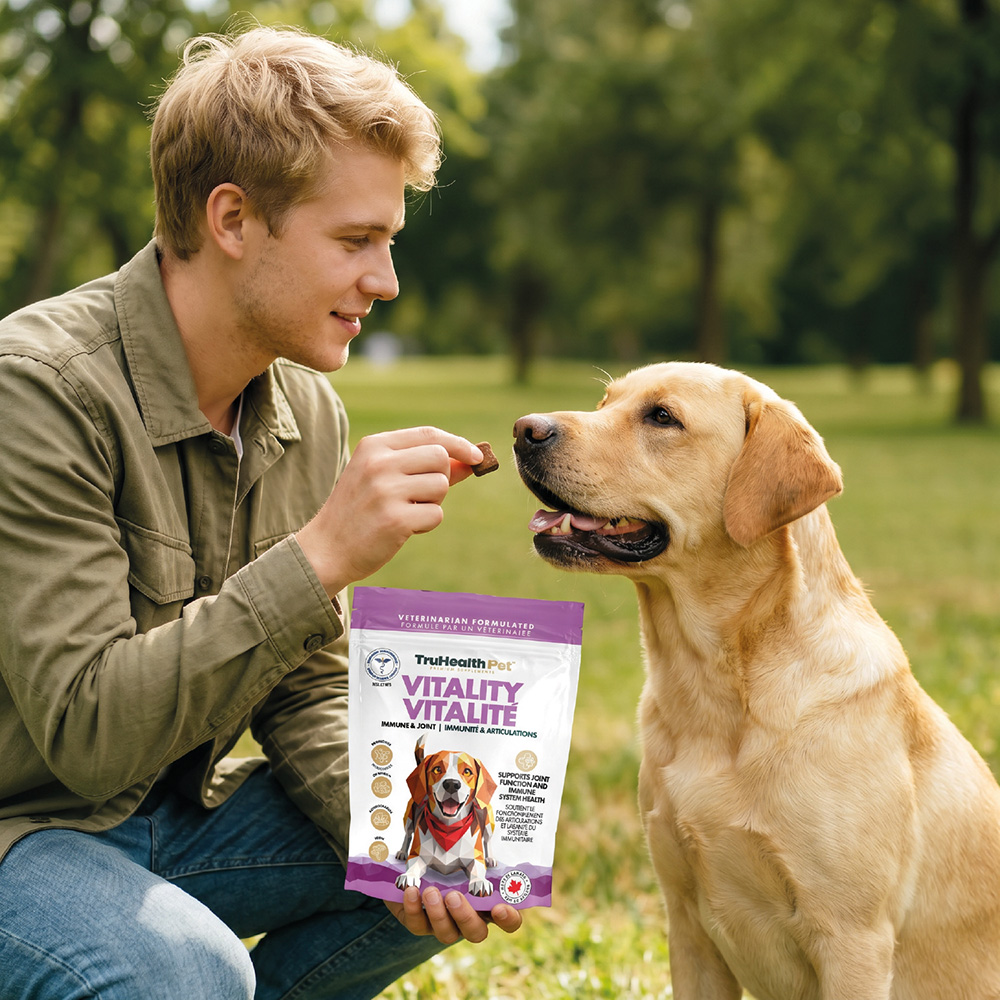 Vitality | Immune & Joint Supplement - Image 2