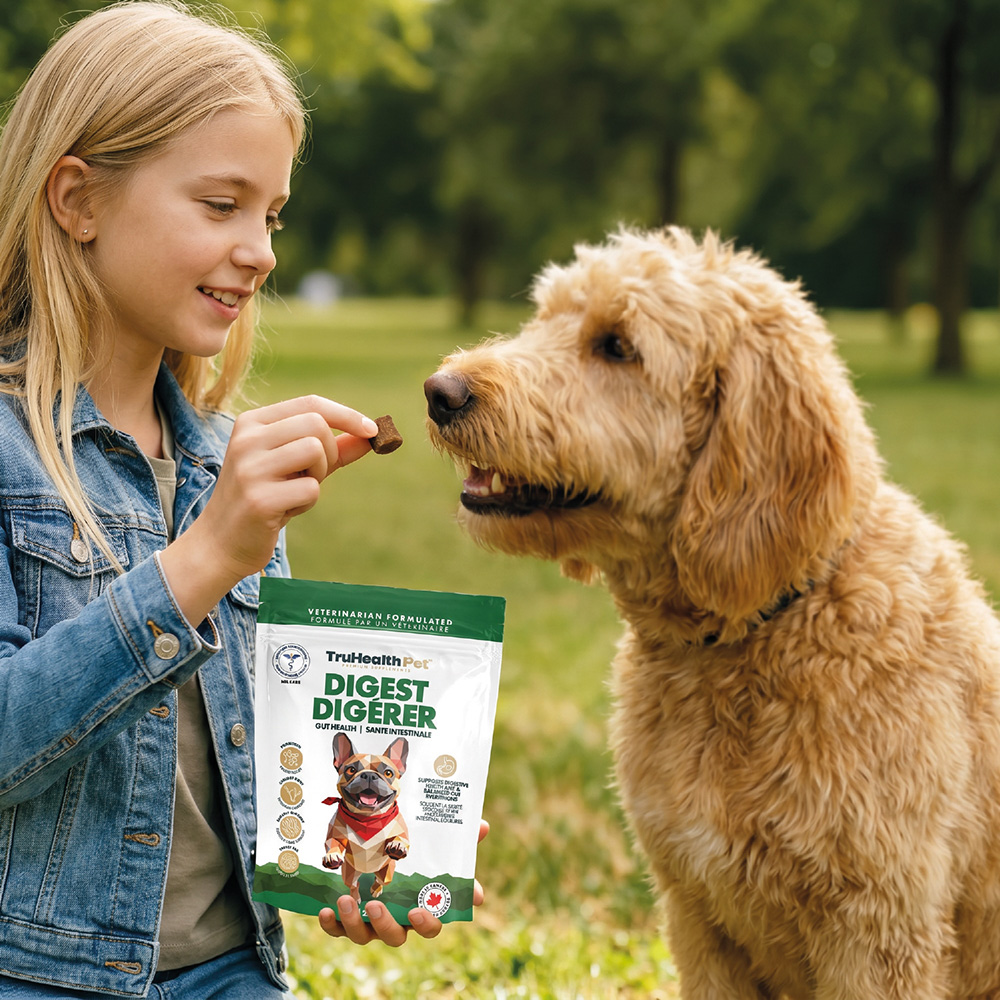 Digest | Gut Health Supplement - Image 5