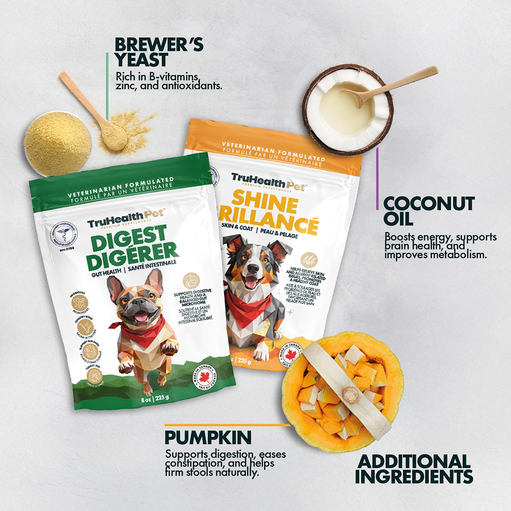 Digest | Gut Health Supplement - Image 7