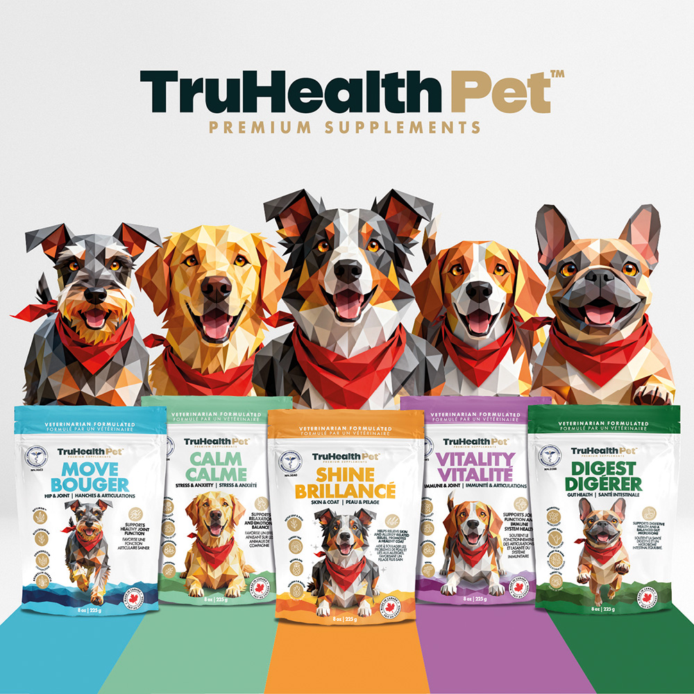 Digest | Gut Health Supplement - Image 10