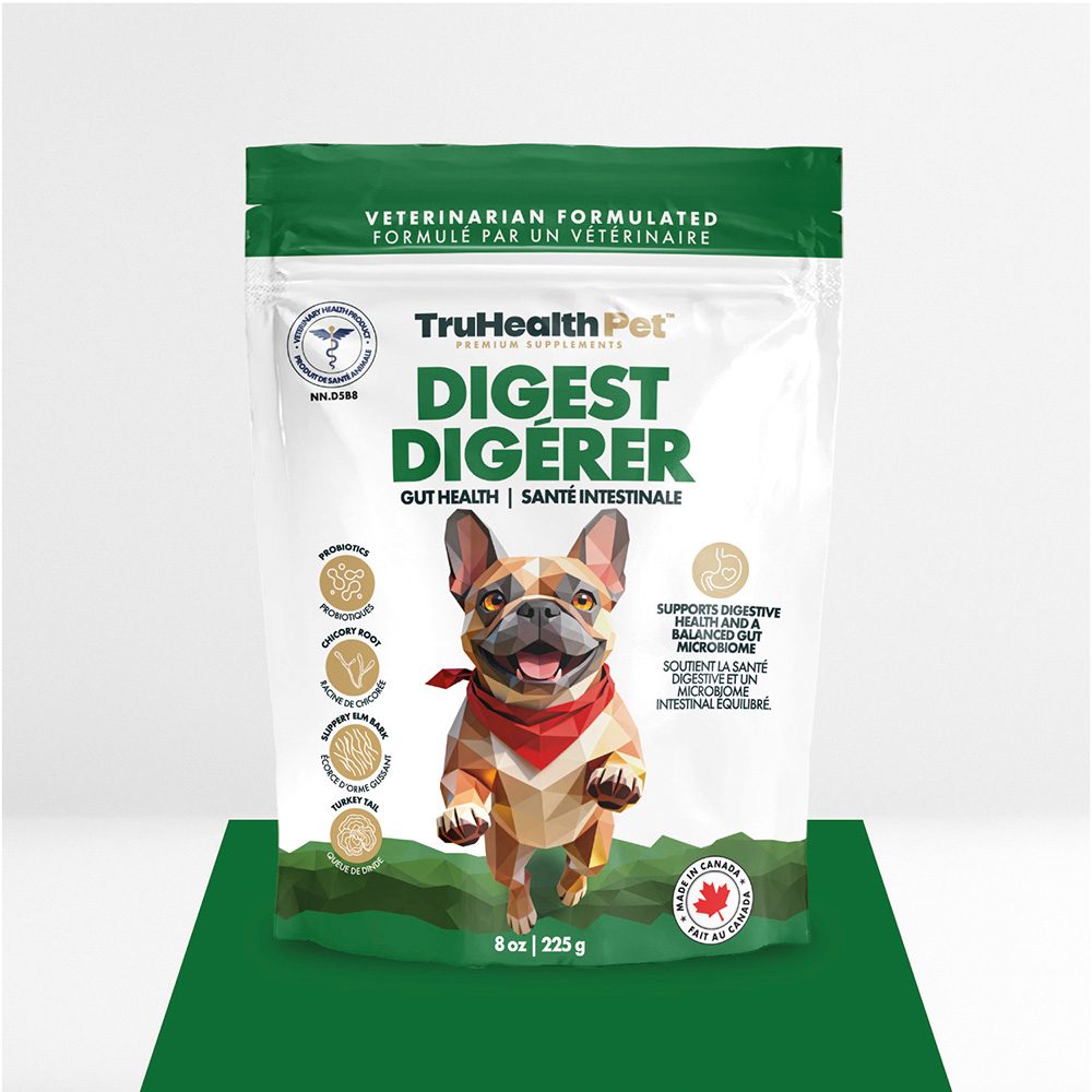 Digest | Gut Health Supplement - Image 12